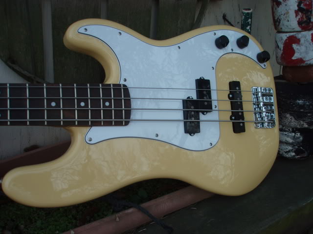 P1090004-1.jpg