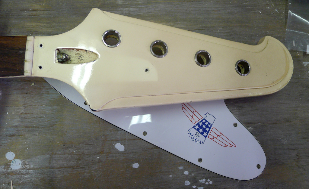 P1100569_zpsrvpecsfn.jpg