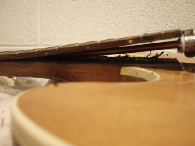 P1110017-1.jpg