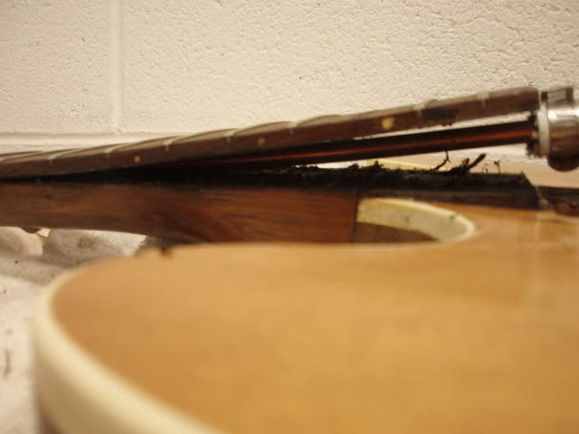 P1110017-1.jpg