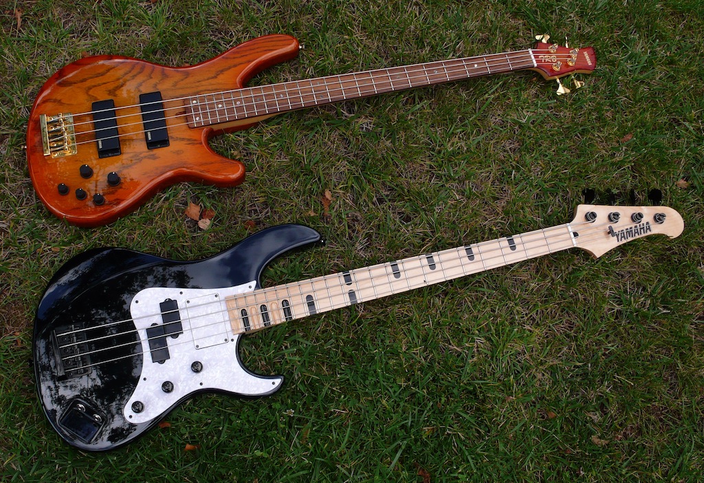 P1140424.jpg