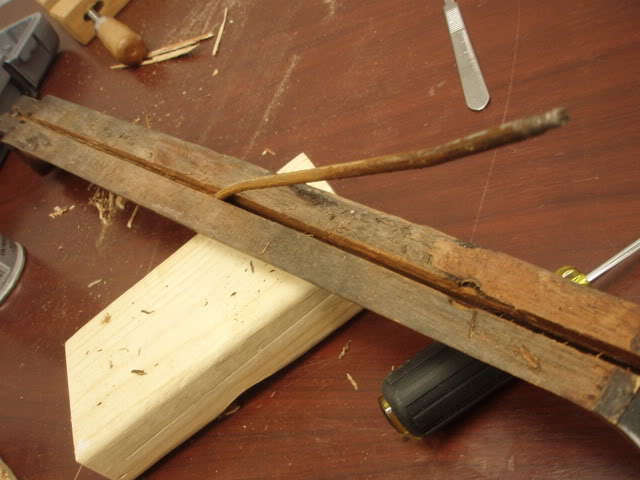 P1180004-1.jpg