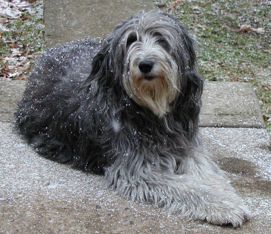 P1250017crop.jpg