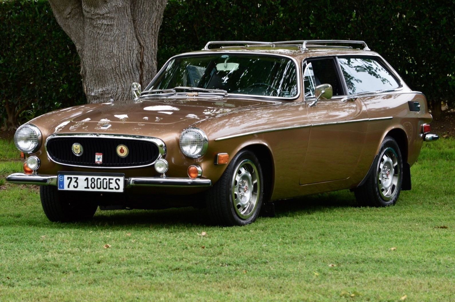 p1800.jpg