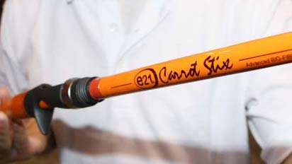 p2-carrotstix_412x232.jpg