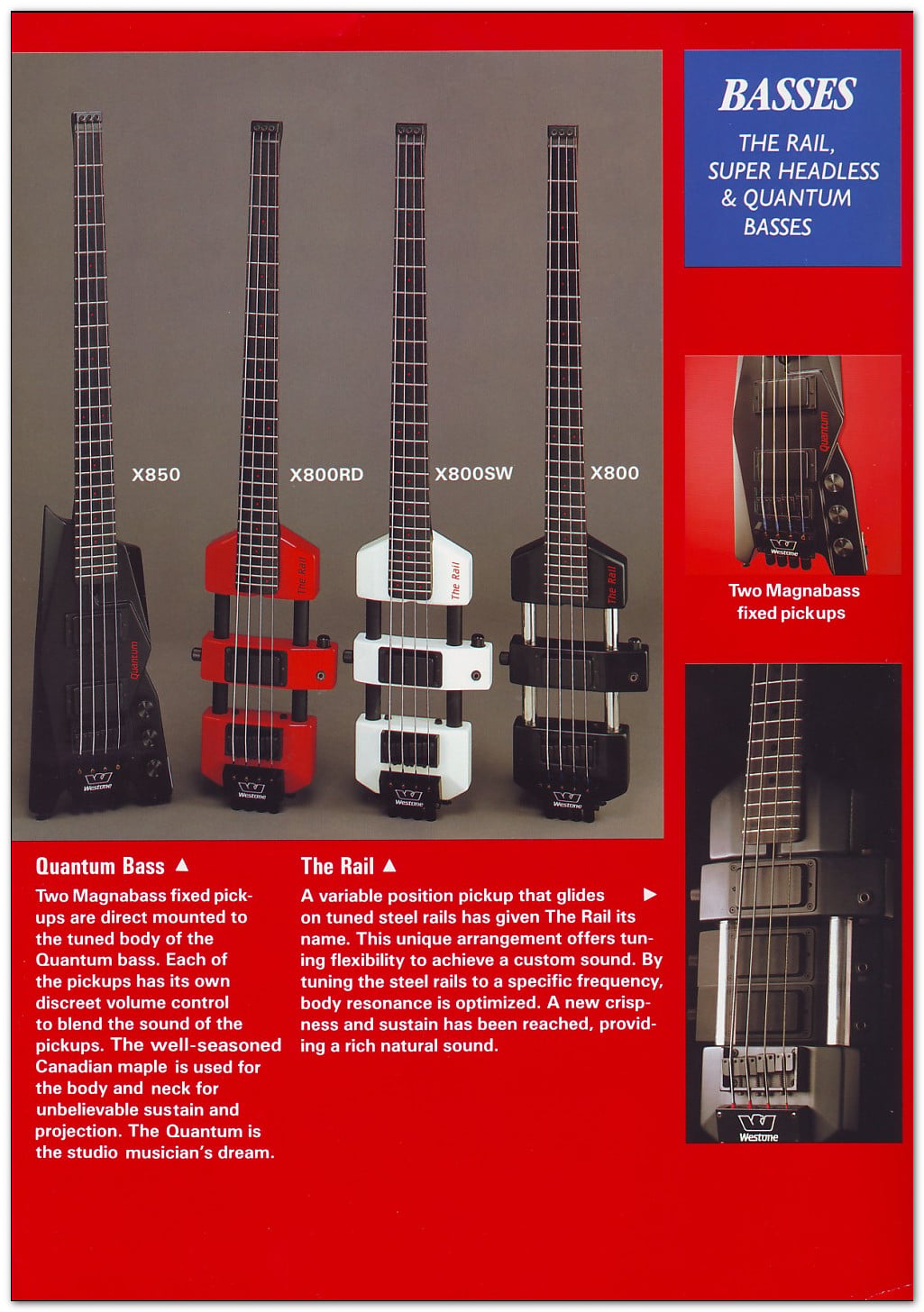 p21.jpg