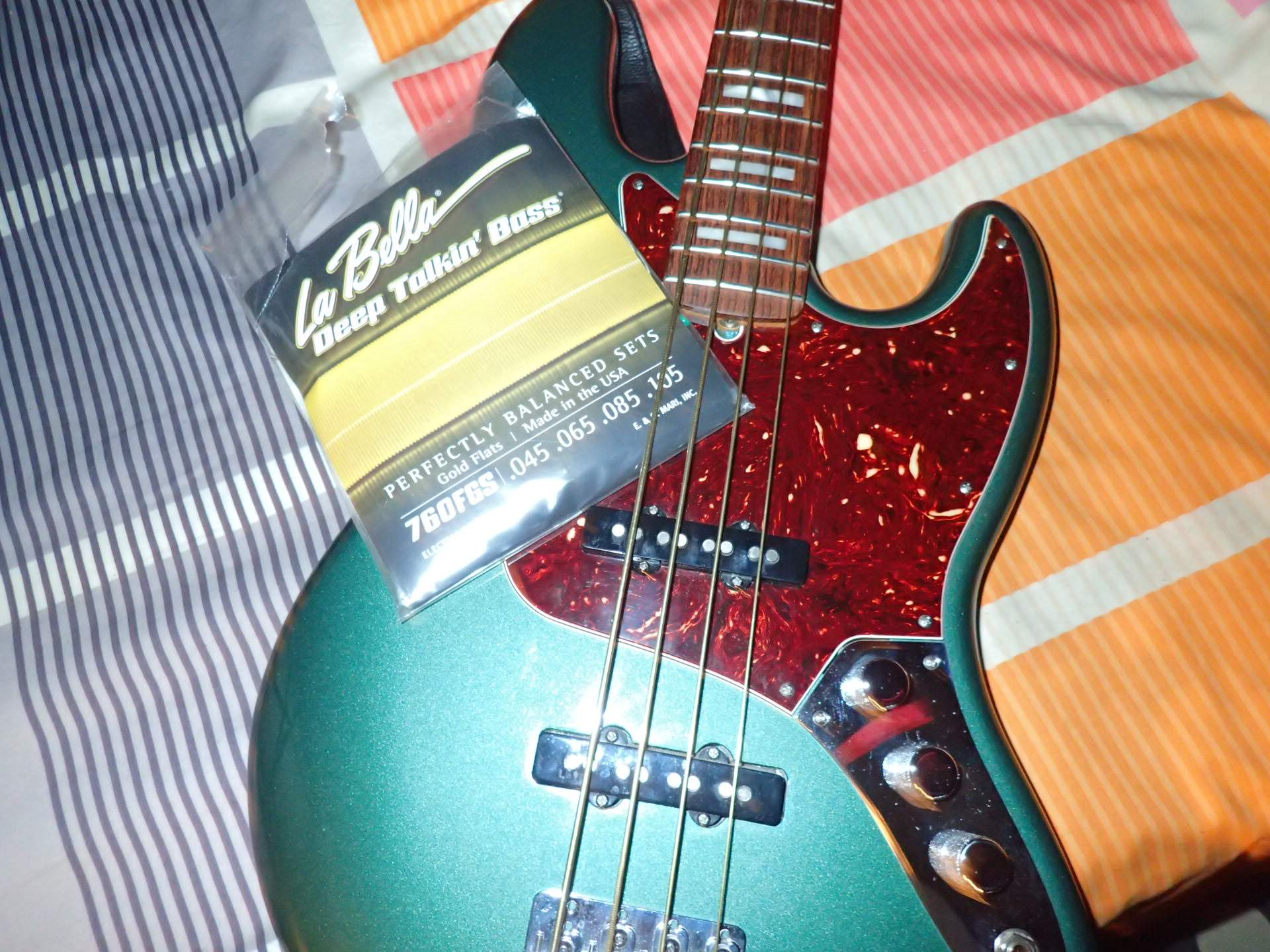 P2130051.JPG