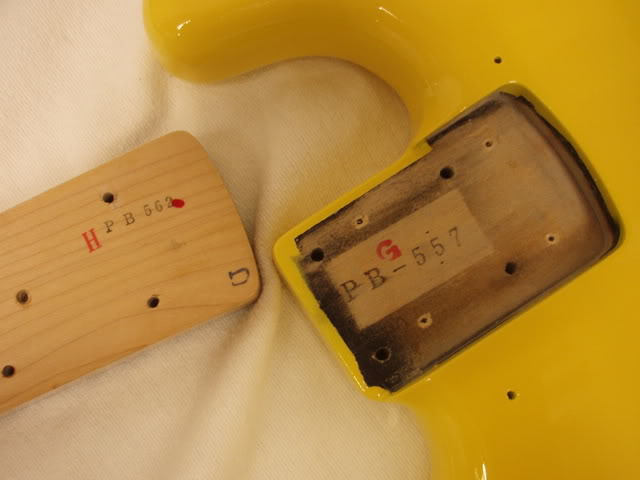 P2170021.jpg