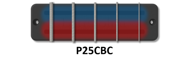 P25CBC_CoilsStrings.png