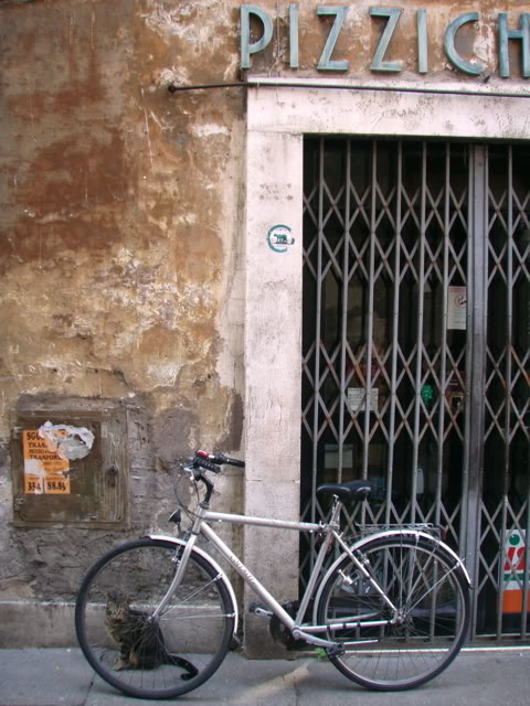 P3040094.jpg