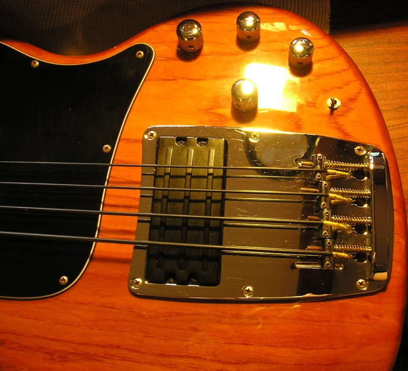P3200010.jpg