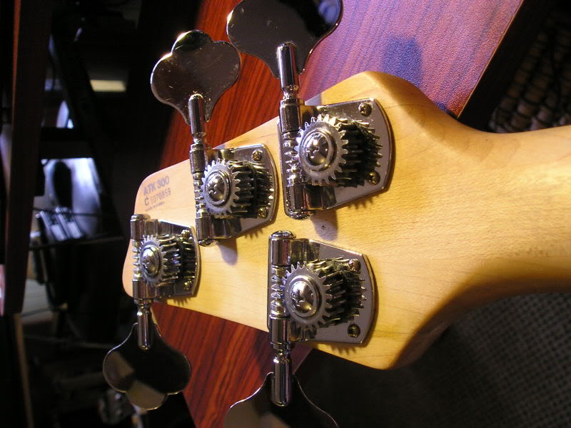 P3200016.jpg