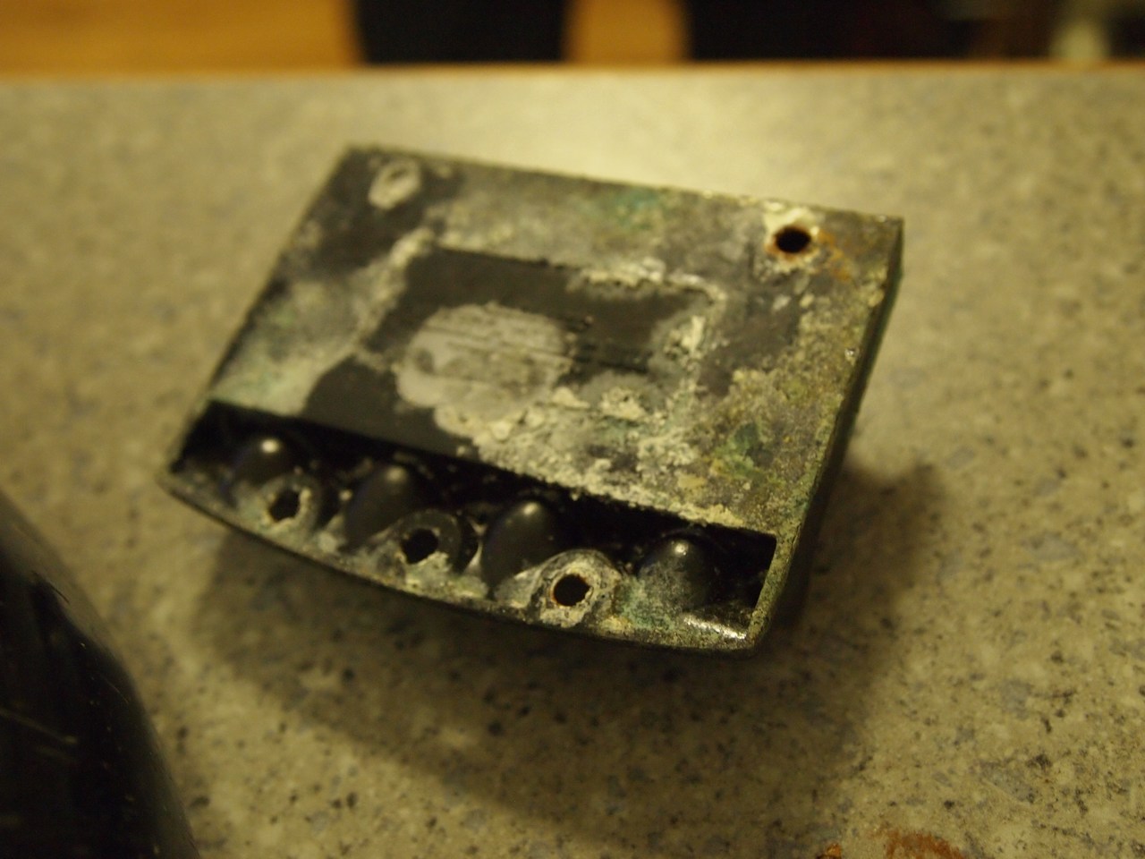 P4020590.jpg
