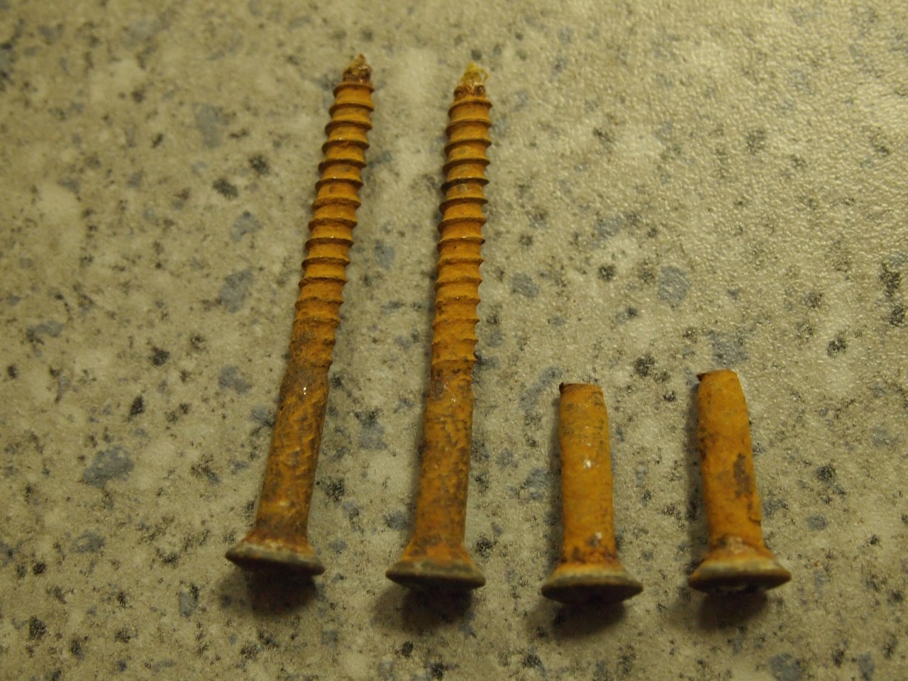 P4030610.jpg
