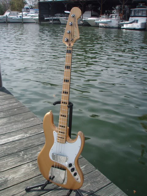 P4100021.jpg