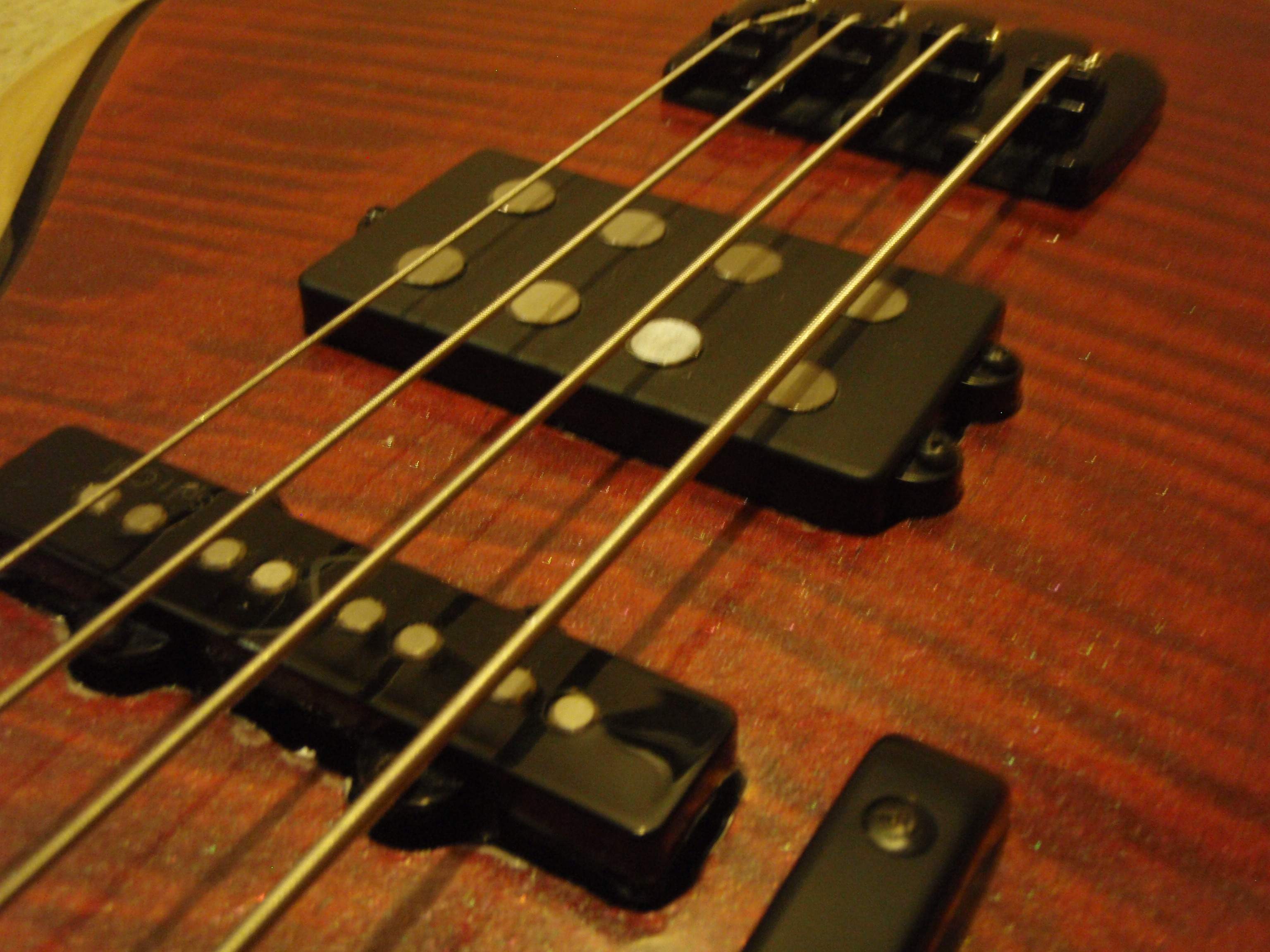 P4170163.JPG