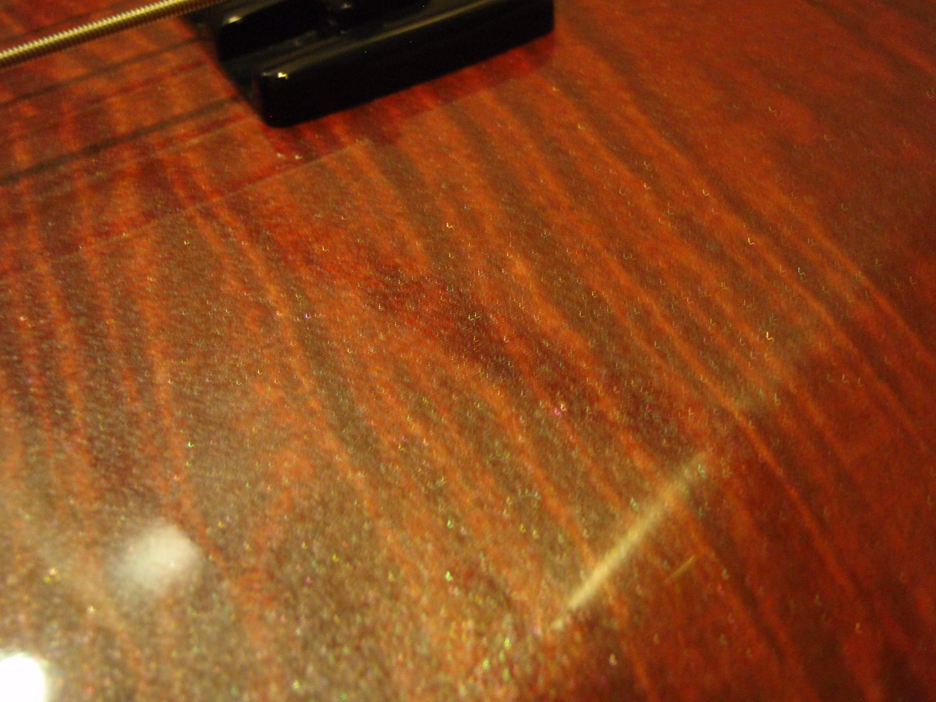 P4170165.JPG