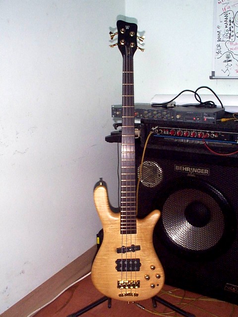 P487957.jpg