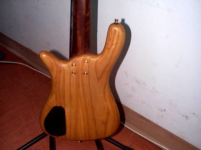 P487962.jpg