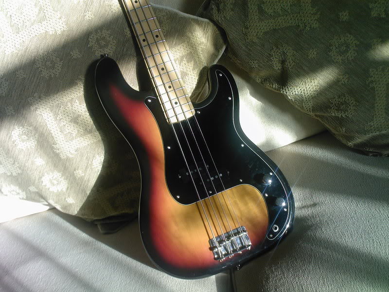 P5.jpg
