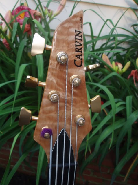 P6180005-1.jpg