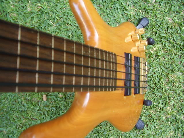 P6190020.jpg
