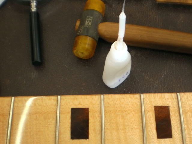 P8110036_2.jpg