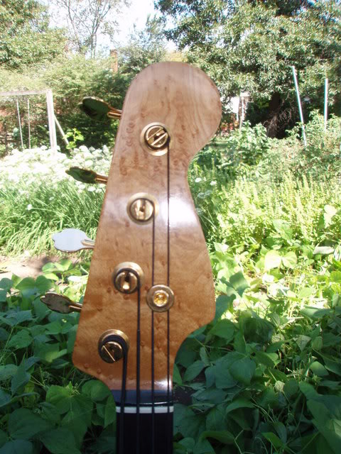 P9160004.jpg