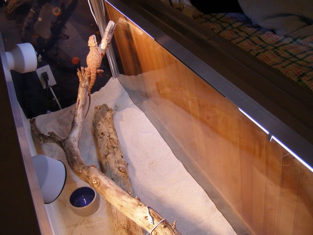 P9270194-1.jpg