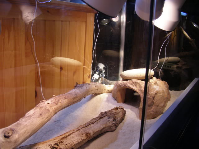PA020219-1.jpg