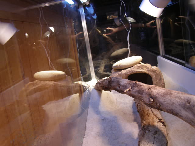 PA020225-1.jpg