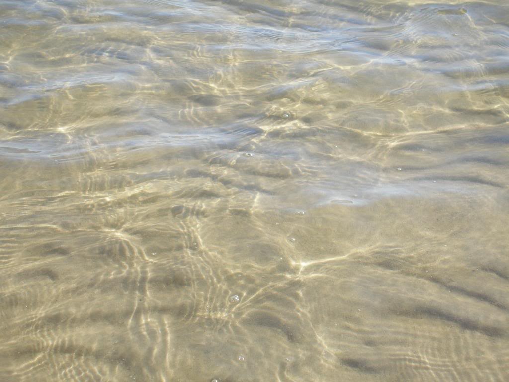 PA120258.jpg