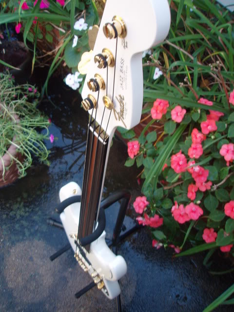 PA200014.jpg