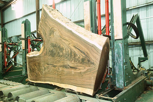 PA5520.jpg