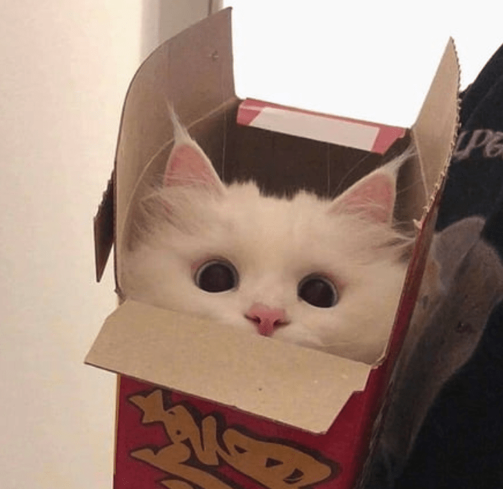 packaged-goods-pe.png