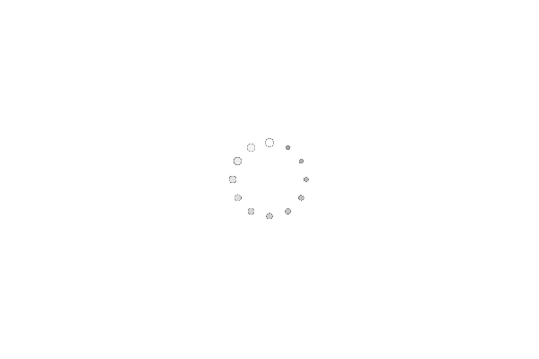 page-loader.gif
