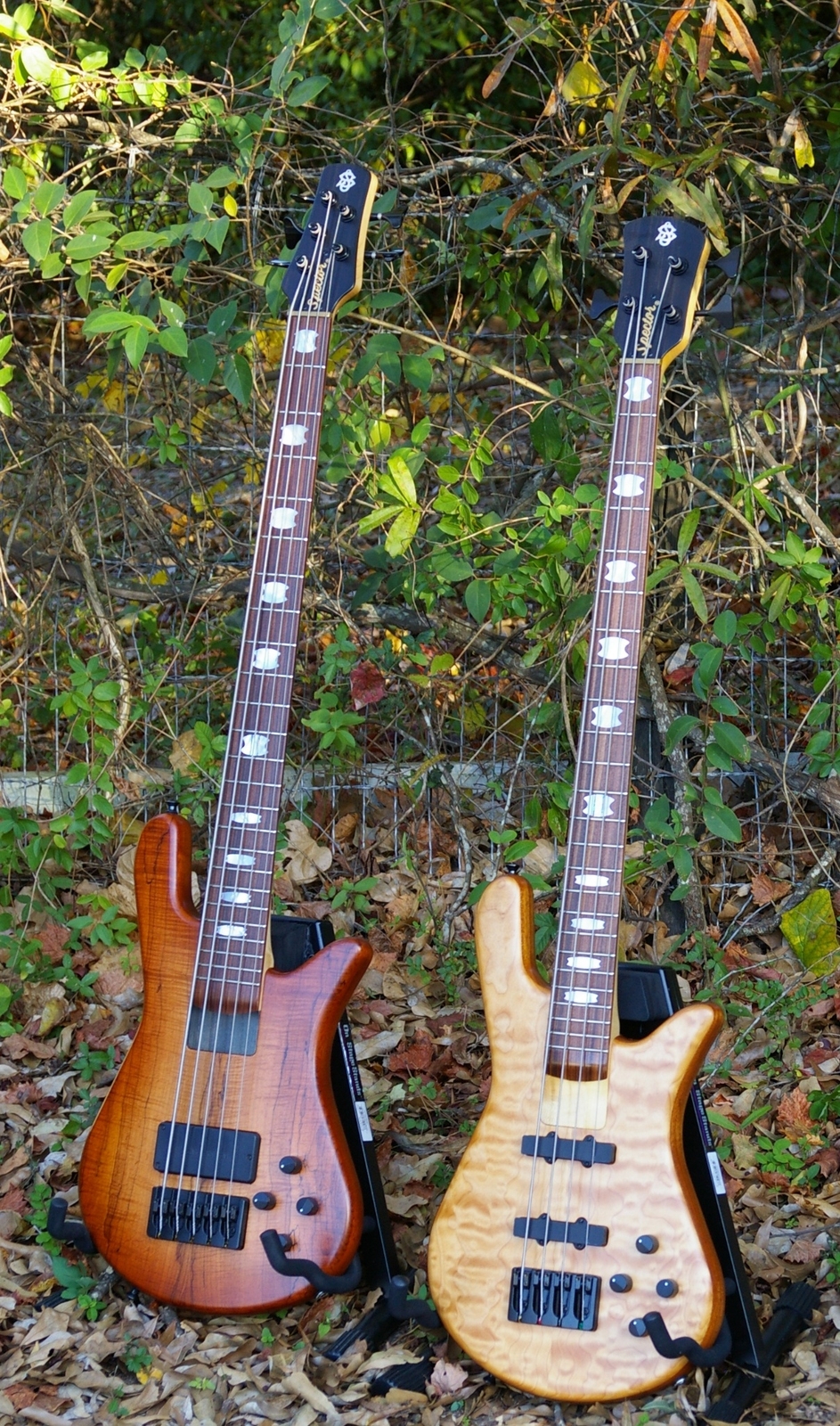pair.jpg