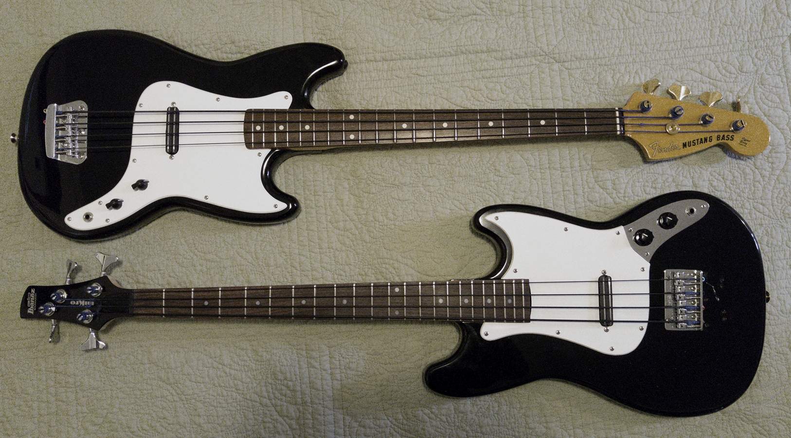 Pair.jpg