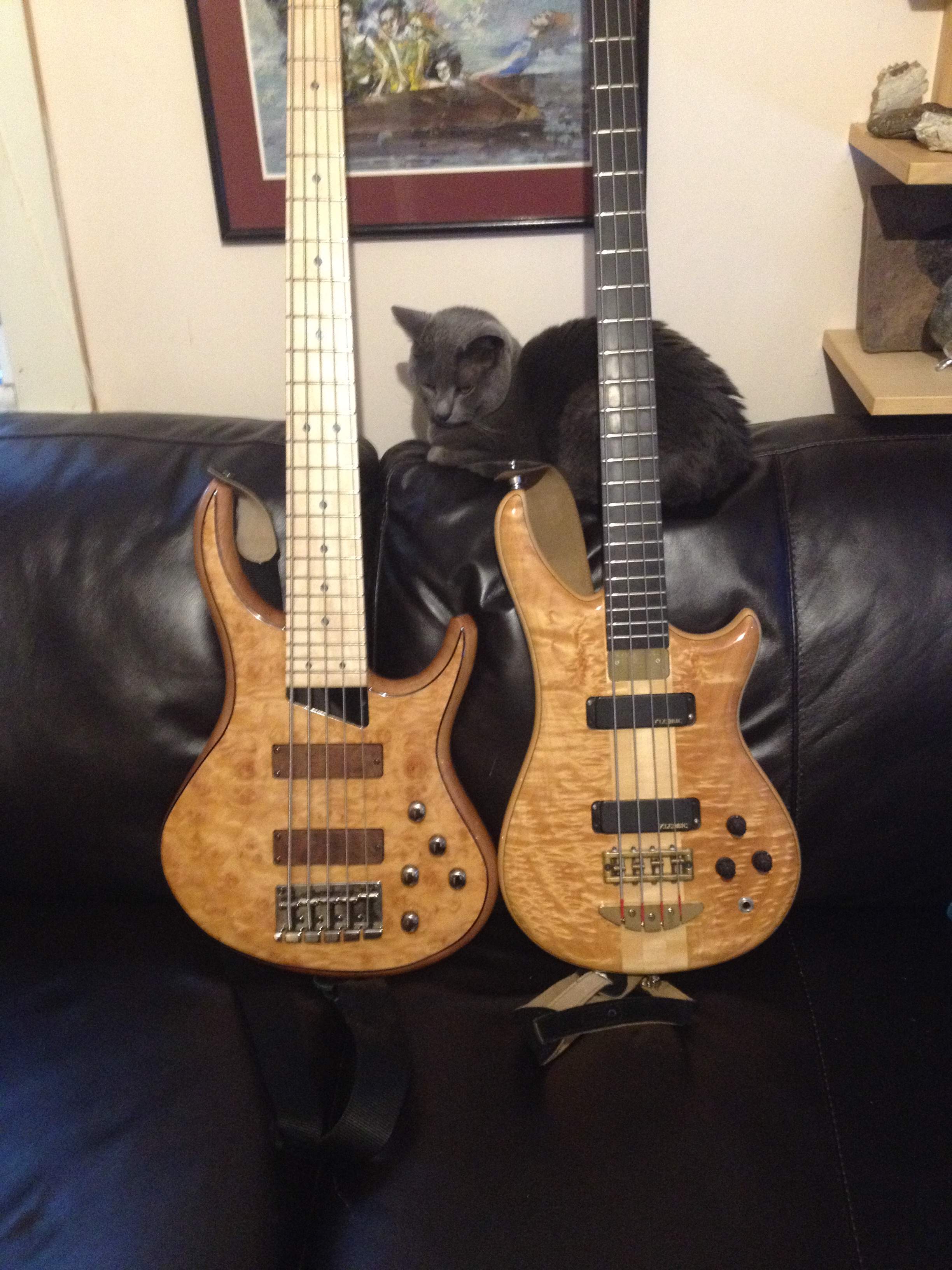 pair2 001.JPG