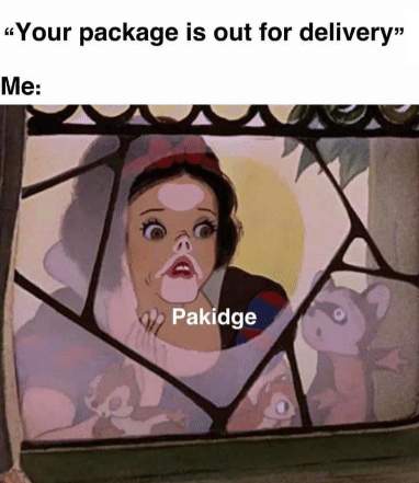 pakidge.jpg
