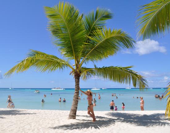 palmera-de-isla-saona.jpg