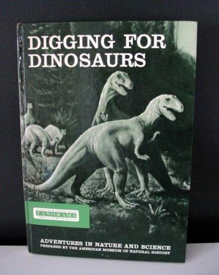 Panorama Digging For Dinosaurs.jpg