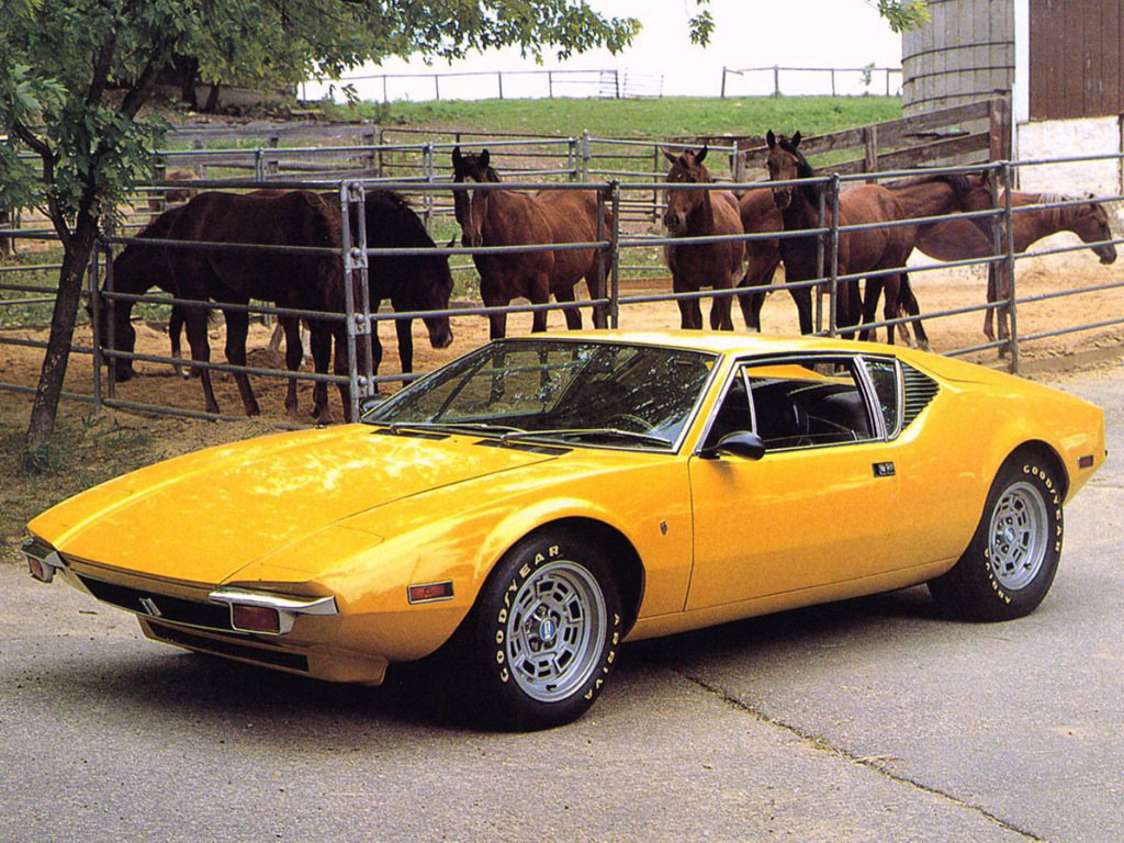 pantera4.jpg