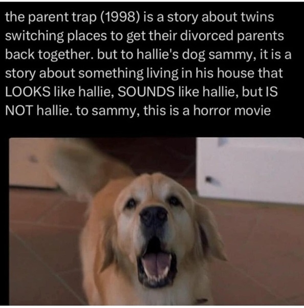 parent trap dog.jpg