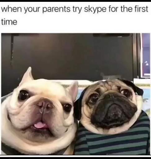 parents skype.jpg