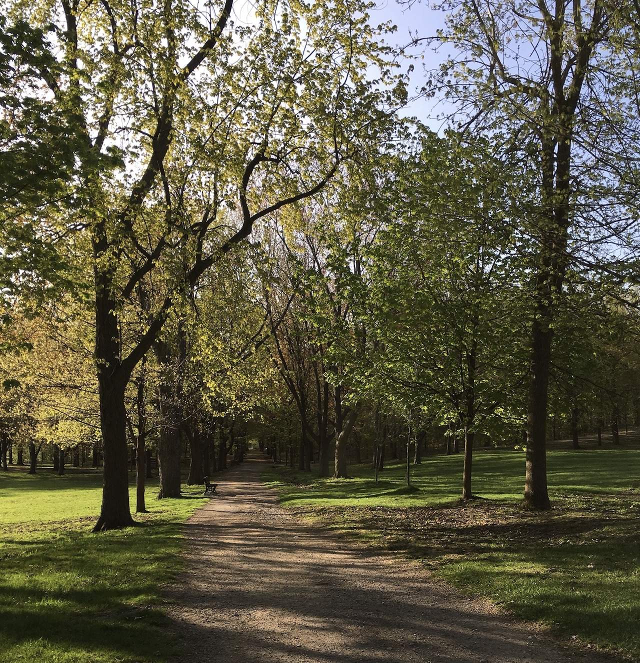park.jpg