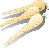 parsnip3.jpg