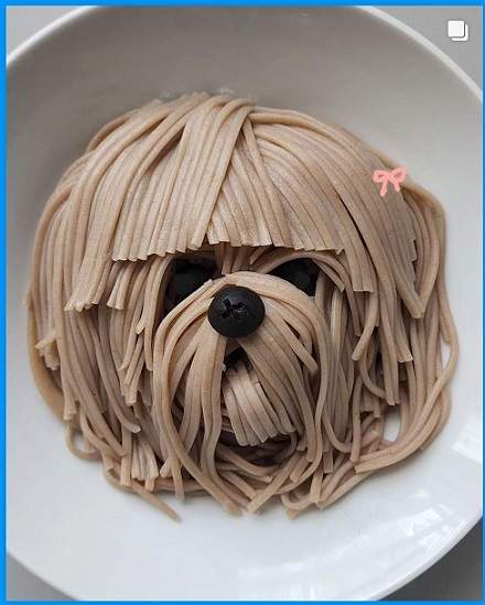 pasta dog.jpg