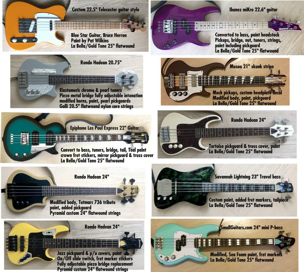 Pat Wilkins Collection.jpg