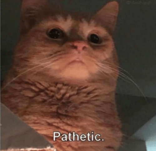 pathetic.png